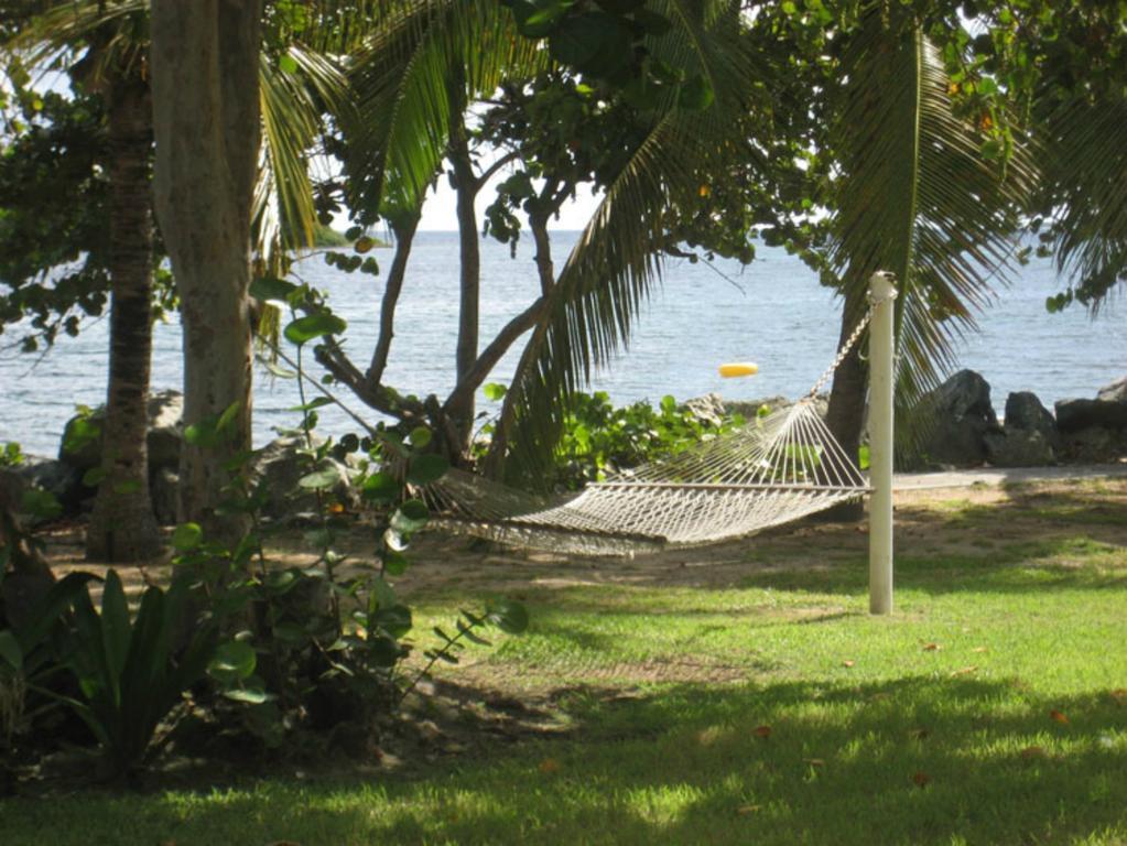 Tamarind Reef Resort Spa & Marina Christiansted Exterior foto