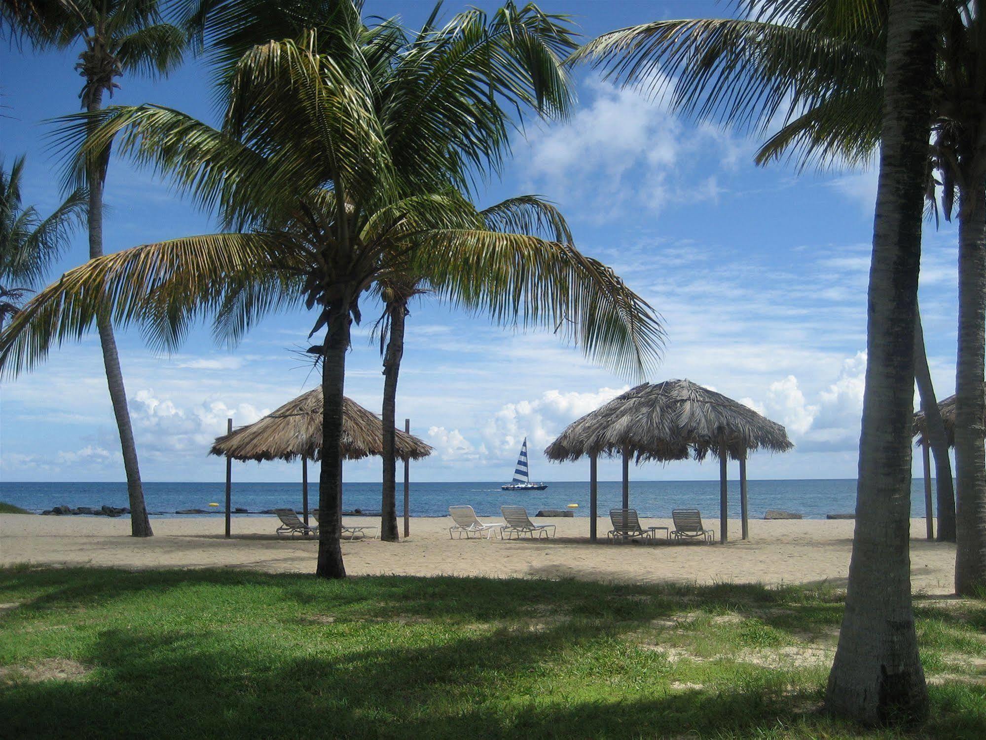 Tamarind Reef Resort Spa & Marina Christiansted Exterior foto